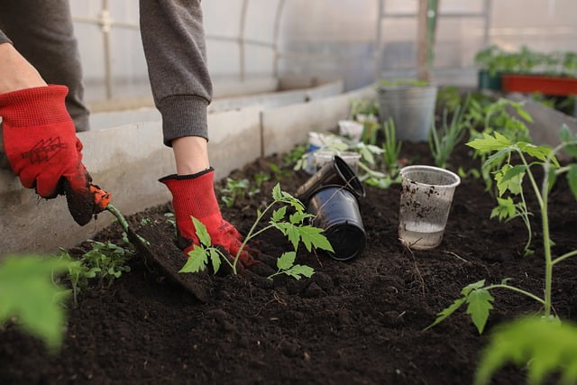 Tuinman in Den Haag