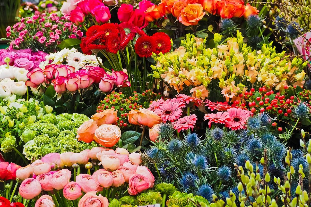 bloemenwinkel in Den Haag