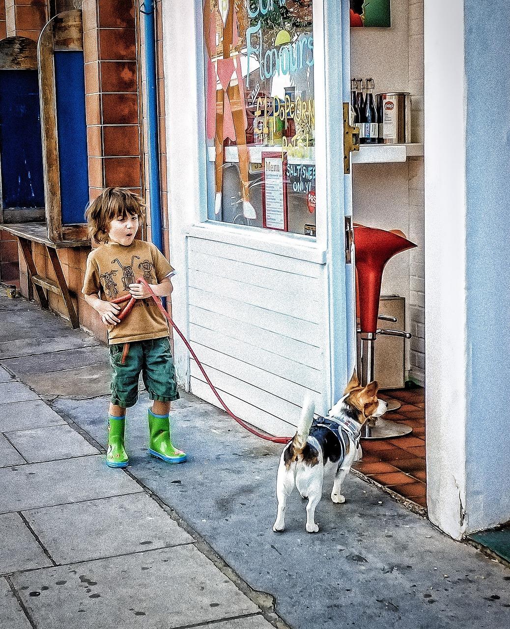 Bedrijven in Den Haag dieren winkel in Den Haag