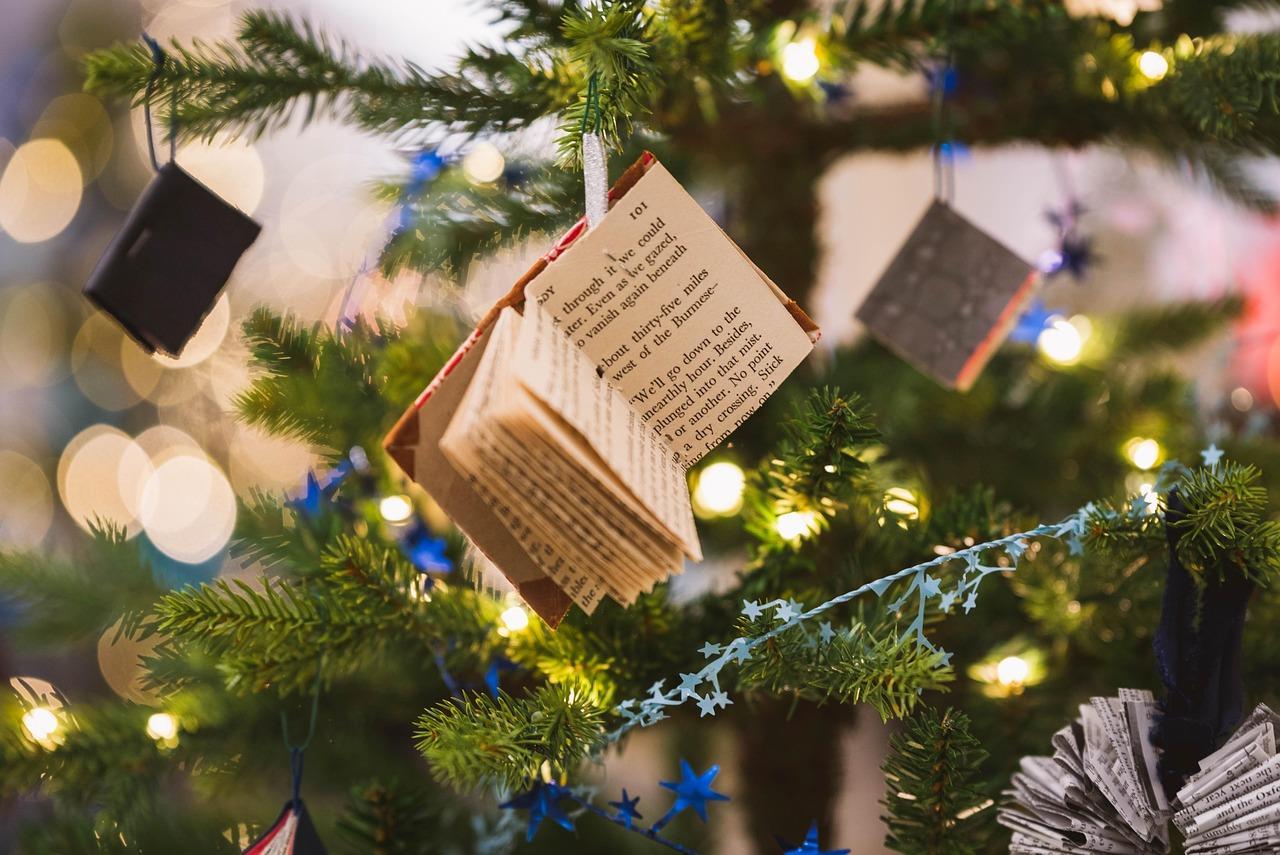 Vind de Perfecte Kerstboom in Den Haag bij Kerstboom Thuisbezorgd