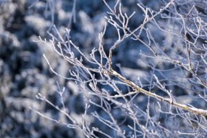 Bedrijven in Den Haag CryoSalon Min110: Ultieme Wellness- en Herstelbestemming