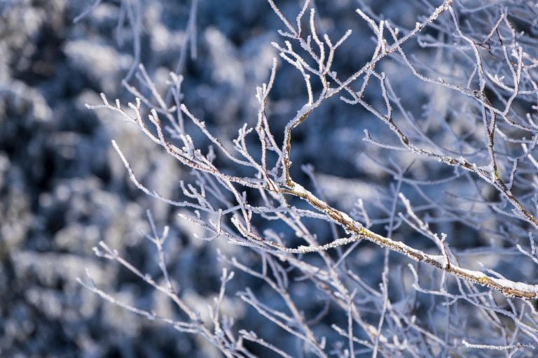 CryoSalon Min110: Ultieme Wellness- en Herstelbestemming