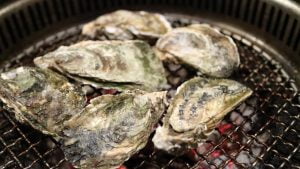 Bedrijven in Den Haag Oester Catering in Den Haag: een exclusieve beleving